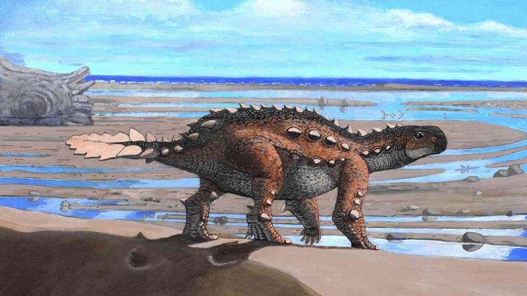 New dinosaur discovered in central Israel