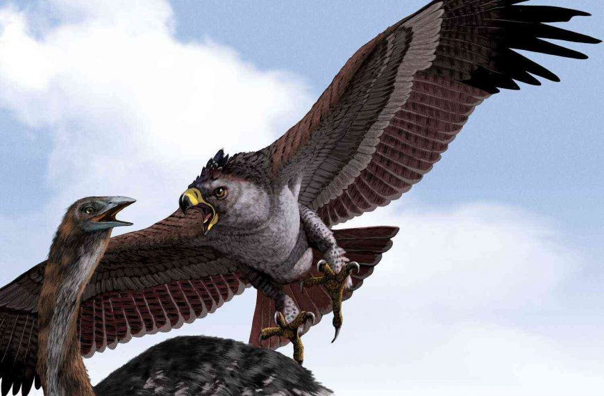 Viking-esque eagle found in Italian burial site